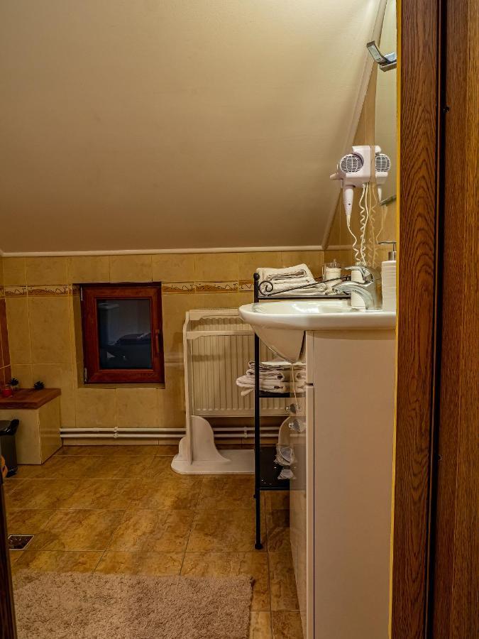 ホテル Casa Delia Câmpulung Moldovenesc エクステリア 写真